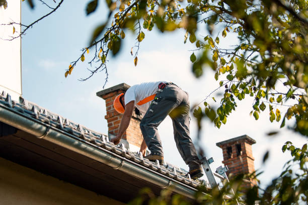 Best Storm Damage Roof Repair  in Powell, AL