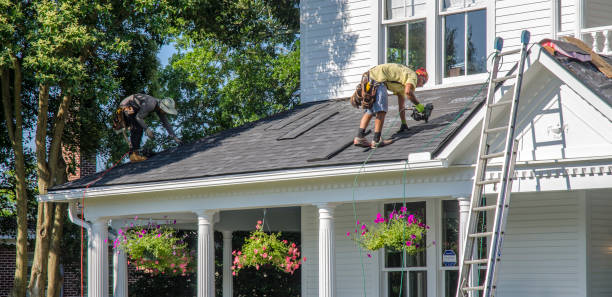 Best Roof Gutter Cleaning  in Powell, AL
